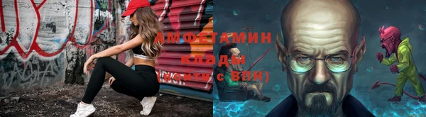 гашик Абаза