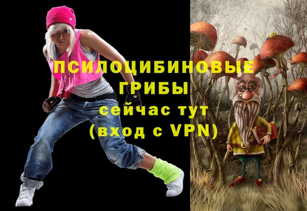 амф Абинск