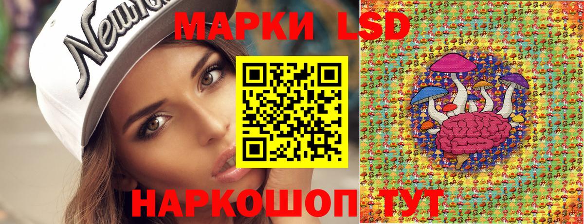 закладка  Марки N-bome 1500мкг  Марки N-bome 1500мкг  Вход с VPN  Кудымкар 