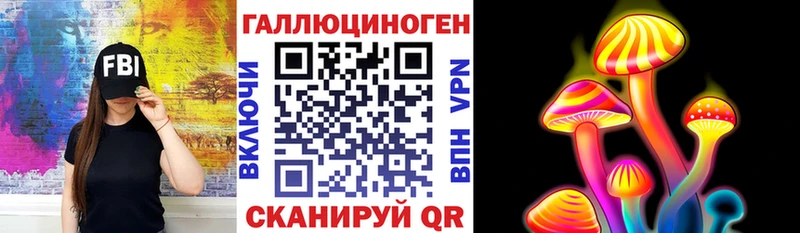 Галлюциногенные грибы Psilocybine cubensis  где купить   Кудымкар 