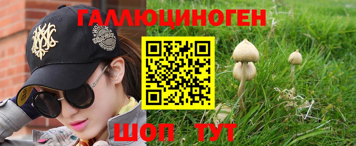 Галлюциногенные грибы GOLDEN TEACHER Кудымкар